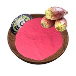 Cactus Fruit Powder Manufacturer - Freeze Dried Prickly Pear & Higher Quantity