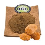 Lion's Mane Mushroom Extract Manufacturer - Hericium Erinaceus Powder & Bulk Organic