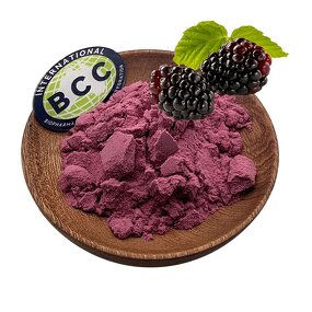 Boysenberry Powder Manufacturer - Freeze Dried Fruit Extract with Good Price & Supply