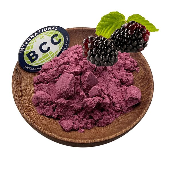 Boysenberry Powder Manufacturer - Freeze Dried Fruit Extract with Good Price & Supply