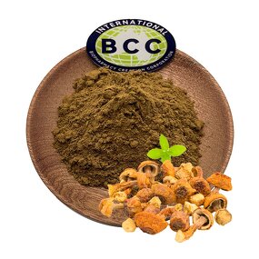 Agaricus Blazei Extract Manufacturer - Mushroom Extract & Bulk