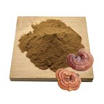 Reishi Mushroom Extract Powder Manufacturer - Ganoderma Lucidum & Bulk