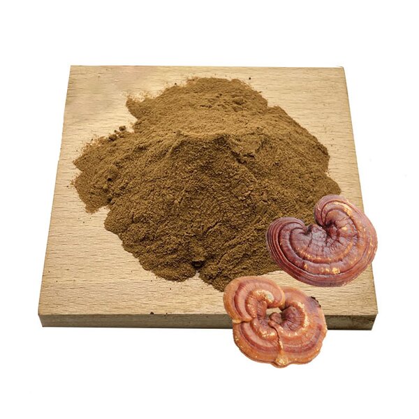 Reishi Mushroom Extract Powder Manufacturer - Ganoderma Lucidum & Bulk
