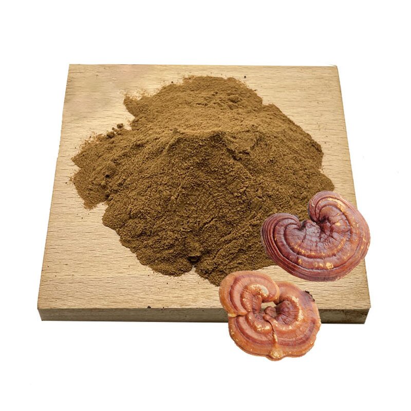 Reishi Mushroom Extract Powder Manufacturer - Ganoderma Lucidum & Bulk