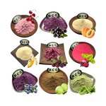 Freeze-Dried Fruit Powder Manufacturer - 100% Natural Organic Fruit & Vegetable