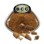 Morel Mushroom Extract Manufacturer - True Morels Morchella Esculenta & Bulk