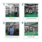 Freeze-Dried Fruit Powder Manufacturer - 100% Natural Organic Fruit & Vegetable