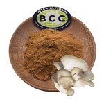 Pleurotus Ostreatus Extract Powder Manufacturer - 10%~50% Polysaccharide Oyster Mushroom & Bulk