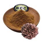 Maitake Mushroom Extract Powder Manufacturer - Grifola Frondosa & Bulk