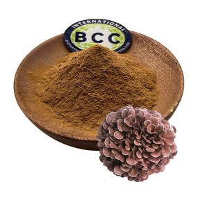 Maitake Mushroom Extract Powder Manufacturer - Grifola Frondosa & Bulk