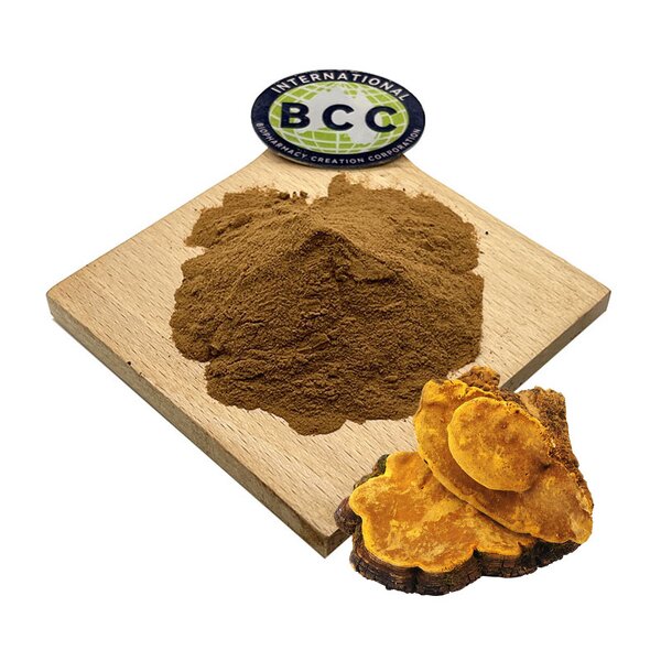 Phellinus Linteus Extract Powder Manufacturer - Sang Hwang Mushroom & Bulk