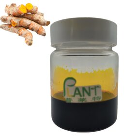 Turmeric Oleoresins Manufacturer - Curcumin Oleoresin High Quality