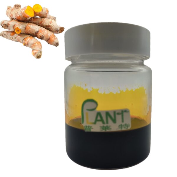 Turmeric Oleoresins Manufacturer - Curcumin Oleoresin High Quality