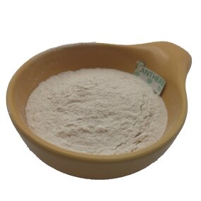 Catalase Enzyme Powder Manufacturer - 10,000-100,000 U/g Food Grade & Factory