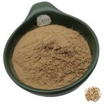Polygala Extract Powder Manufacturer - 10:1 20:1 Yuan Zhi Tenuifolia & High Quality