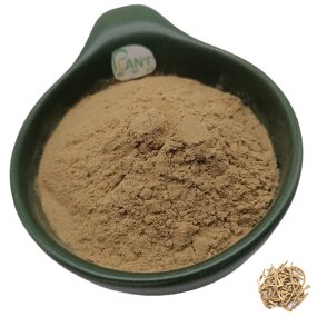 Polygala Extract Powder Manufacturer - 10:1 20:1 Yuan Zhi Tenuifolia & High Quality