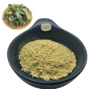Epimedium Extract Manufacturer - Horny Goat Weed 3 7-bis (2-hydroxyethyl) Icaritin