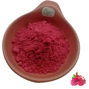 Dragon Fruit Powder Manufacturer - Freeze Dried Red Pitaya 100% Water Soluble & Factory