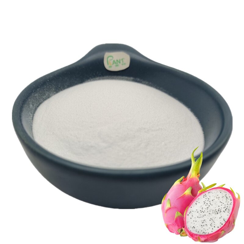 White Dragon Fruit Juice Powder Manufacturer - 100% Water Soluble Extract Bulk & High Quality