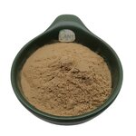 Lion's Mane Extract Powder Manufacturer - 50% Poly 30:1 Organic & Factory