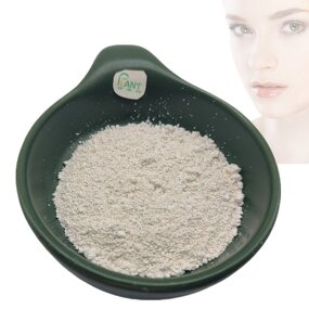 Phenylethyl Resorcinol Powder Manufacturer - Symwhite 377 CAS 85-27-8 Skin Whitening Cosmetic
