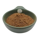 Ganoderma Lucidum Extract Powder Manufacturer - Reishi Mushroom 10% 40% Polysaccharides