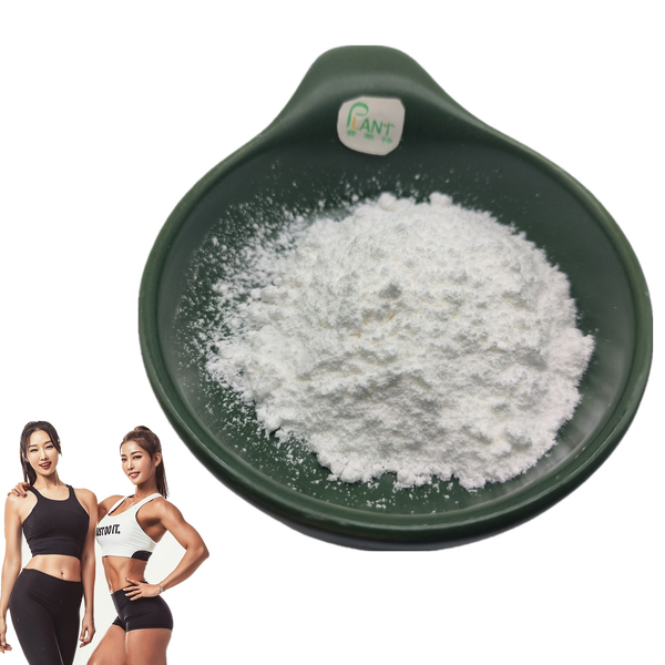 Creatine Monohydrate Powder Manufacturer - 200mesh Food Grade CAS 6020-87-7 Pure Bulk
