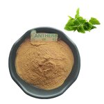 Nettle Root Extract Powder Manufacturer - 100% Natural 10:1 Pure Plant & Bulk
