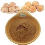 Lion's Mane Extract Powder Manufacturer - 50% Poly 30:1 Organic & Factory