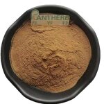 Nettle Root Extract Powder Manufacturer - 100% Natural 10:1 Pure Plant & Bulk