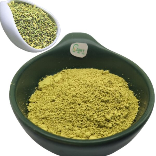 Quercetin Powder Manufacturer - 98% Anhydrous Sophora Japonica Extract & Natural