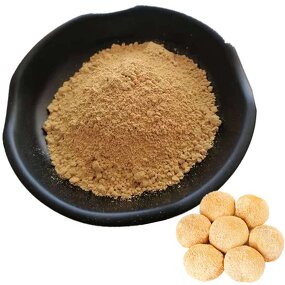 Lion's Mane Extract Powder Manufacturer - 50% Poly 30:1 Organic & Factory