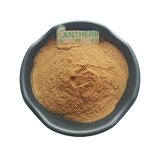 Nettle Root Extract Powder Manufacturer - 100% Natural 10:1 Pure Plant & Bulk