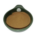 Polyporus Umbellatus Extract Manufacturer - 30% Polysaccharide Mushroom & Factory