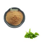 Nettle Root Extract Powder Manufacturer - 100% Natural 10:1 Pure Plant & Bulk