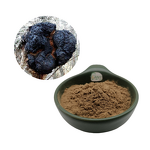 Chaga Extract Powder Manufacturer - 50% Polysaccharides Mushroom & Factory