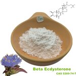 Ecdysterone Powder Manufacturer - Beta 90% 98% Cyanotis Root Extract CAS 5289-74-7
