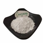 Uncaria Gambir Extract Manufacturer - 50% 98% Rhynchophylline Powder Food Grade & Supply