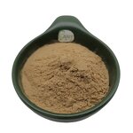 Radula Marginata Extract Powder Manufacturer - 50:1 High Concentration
