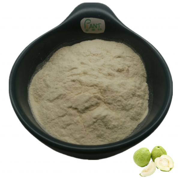 Guava Juice Powder Manufacturer - Red Pink Flavor Instant & Factory
