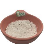 Apple Polyphenols Extract Powder Manufacturer - 80% 98% Green Apple Fruit & High Quality