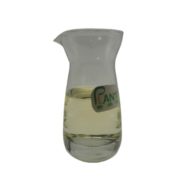 Cinnamon Leaf Oil Manufacturer - Essential Extract Bulk & High Quality