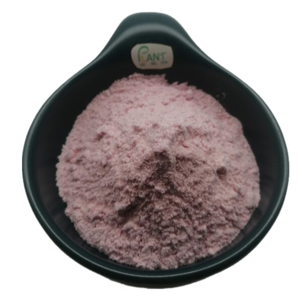 Pomegranate Fruit Powder Manufacturer - Instant Pure Concentrate Water Soluble & Factory