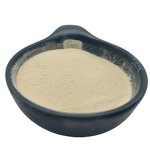 Yacon Root Extract Powder Manufacturer - High Quality