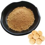 Turkey Tail Mushroom Extract Powder Manufacturer - 50:1 Polysaccharide & Supply