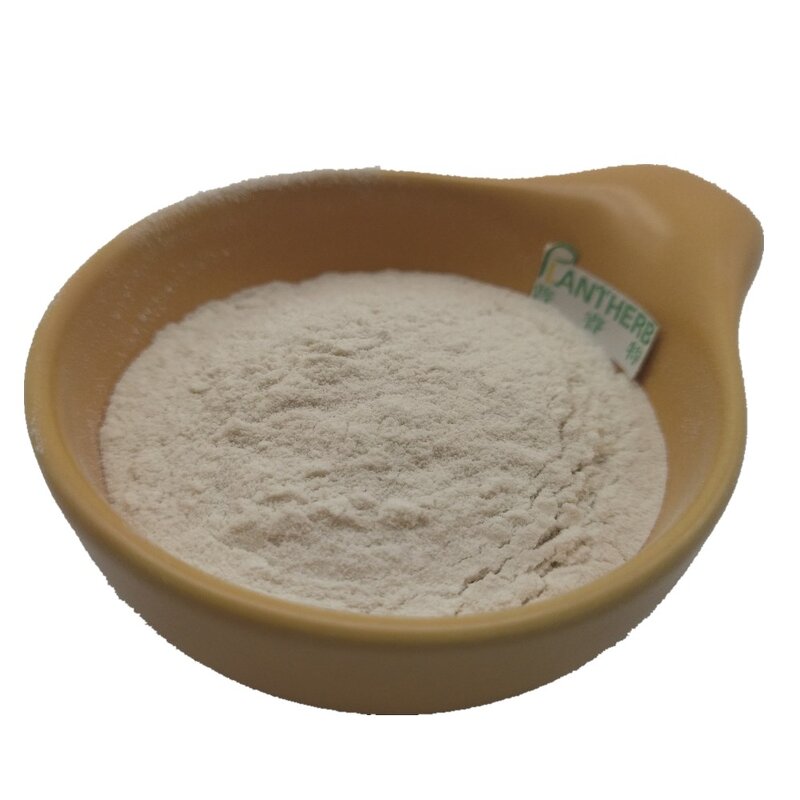 Pectinase Enzyme Powder Manufacturer - CAS 9032-75-1 Food Grade & Factory
