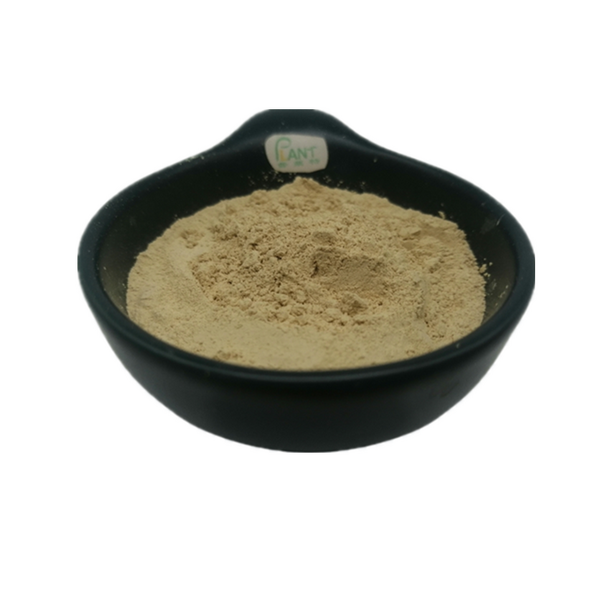 Yacon Root Extract Powder Manufacturer - High Quality