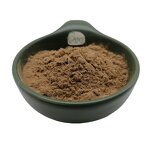 Antrodia Camphorata Extract Manufacturer - 30% Polysaccharide Mushroom Mycelium & Supplement