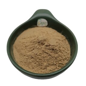 Radula Marginata Extract Powder Manufacturer - 50:1 High Concentration