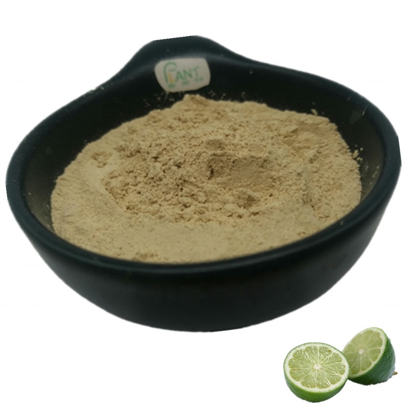 Lime Powder Manufacturer - Food Grade Pure Instant Juice & Factory